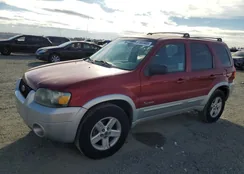 1FMCU96H55KB86631: 81683485