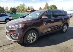 5XYPGDA59HG320306: 81629605