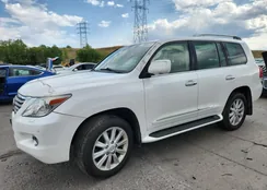 JTJHY00W184000381: 71685415