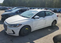 5NPD84LF2HH022677: 81258025