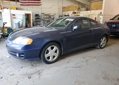 KMHHM65D74U127053: 84396475