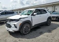 KL79MPSP7SB148147: 81700565