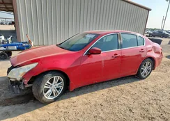 JN1CV6AP0BM507461: 81513515