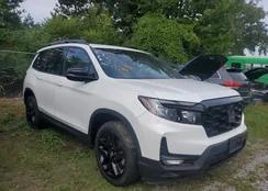 5FNYF8H00NB007902: 80935945