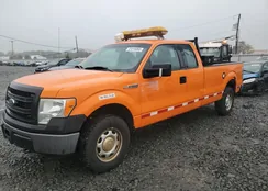 1FTFX1EFXEKE48024: 81016865