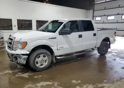 1FTFW1ETXEFB41115: 71325015