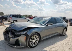 1G6DW5RK1L0121614: 81677785