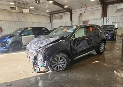 1GYFZDR46PF138110: 80181255