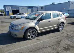 1B3CB4HA5AD618955: 81330035