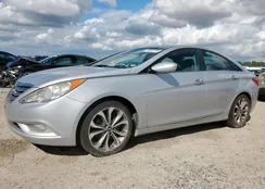 5NPEC4AC7CH365411: 81581775