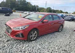 5NPE34AF6KH776582: 80219465