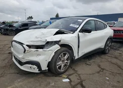 3FMTK3R4XPMA61003: 84246245