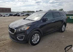 5XYPG4A31GG019087: 84746465