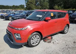 KNDJ23AU3M7137366: 81425225