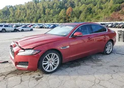 SAJBK4BV6GCY12447: 80255695