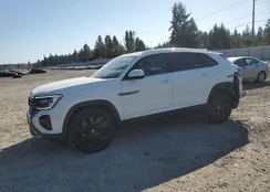 1V2HE2CA8RC259138: 81538955