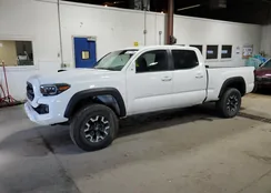 3TMDZ5BNXHM035599: 84277785