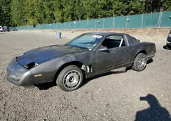 1G2FW23F4ML213109: 81165635