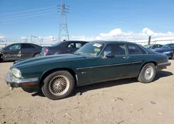 SAJNW5844NC181846: 81763335