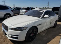 SAJAS4FX5JCP19501: 80640795