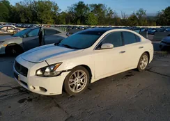 1N4AA5AP5BC826828: 81190815