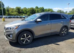 5XYPHDA56HG231399: 80080595