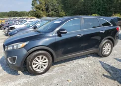 5XYPG4A31HG234714: 81338965