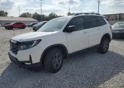 5FNYF8H69RB008623: 81230385