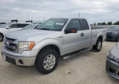 1FTFX1EF8EFA03676: 74703604