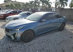 1G6DY5R68P0810780: 78597544