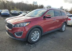 5XYPGDA54HG211798: 87059895