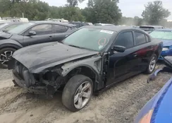 2C3CDXAT2EH316235: 87213545