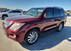 JTJHY00W384012483: 87368565