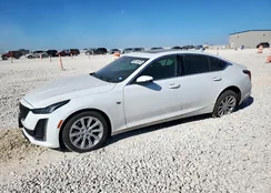 1G6DX5RK3M0147730: 86116875