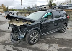 4S4WMAPD9L3417337: 86117035