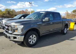 1FTEW1EG1FFA89809: 90113945