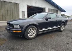 1ZVFT80N165207047: 85732265