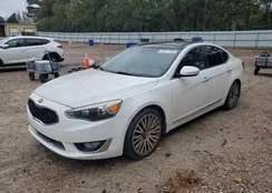 KNALN4D7XF5191982: 82217735