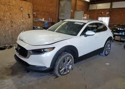 3MVDMBDL1NM439300: 82232585