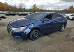 5NPD84LF6LH623499: 90131355