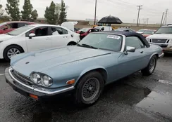 SAJNW4847LC168242: 86501675