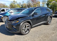 5NMJECDE4RH329259: 87274115