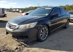 1HGCR2F51FA263975: 87413375