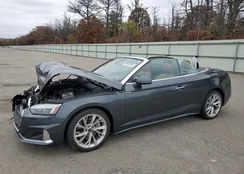 WAUWAGF50MN003683: 90651255