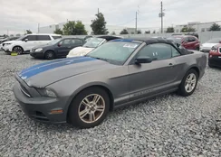 1ZVBP8EM9E5262430: 89678065