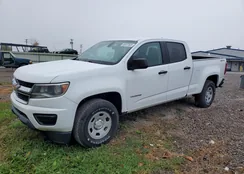 1GCGTBEN6H1188826: 85537605