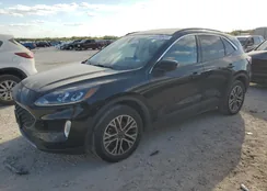 1FMCU9H60MUA64239: 87369415