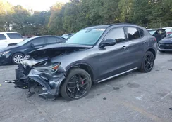 ZASPAKBN6M7D05118: 85512175