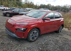 KM8K23AGXPU191537: 87216735