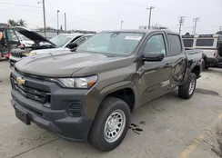 1GCGSBECXR1134559: 91029855